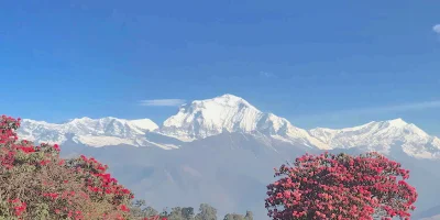 Mountain Views from Poon Hill